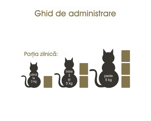 Ghid de administrare a hranei pentru pisici, în funcție de greutate