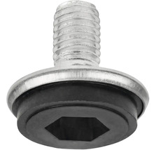 Șurub cu cap hexagonal interior și șaibă de etanșare