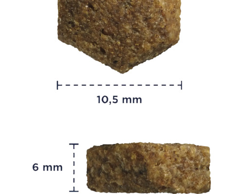 Prim-plan cu o singură bucată de hrană, cu dimensiunile de 10,5 mm pe 6 mm