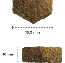 Dimensiunile unei bucăți de hrană uscată: 18,5 mm lungime, 10 mm înălțime