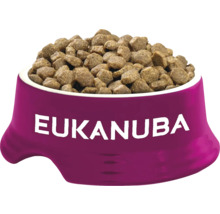 Castron pentru câini umplut cu hrană pentru câini Eukanuba