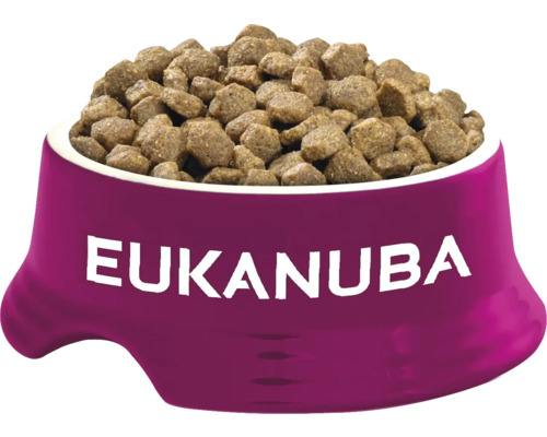 Castron pentru câini umplut cu hrană pentru câini Eukanuba