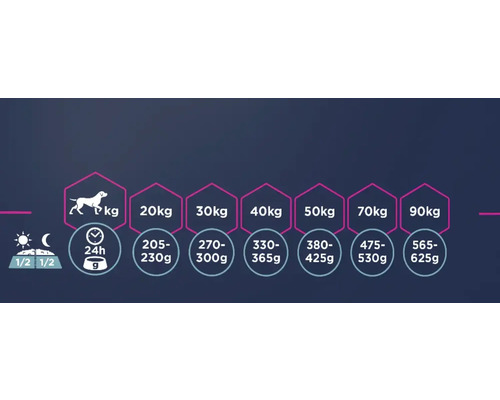 Recomandare de hrănire pentru hrana câinilor în funcție de greutate