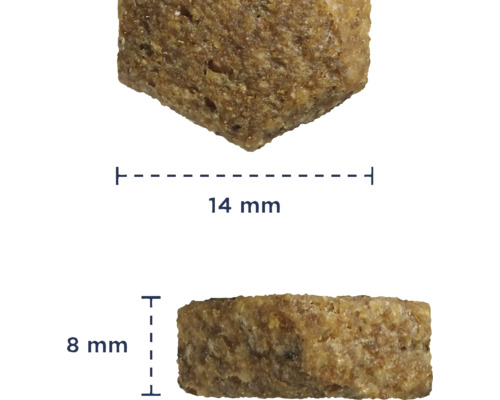 Prim-plan cu o singură bucată de hrană uscată, cu dimensiunile de 14 milimetri pe 8 milimetri