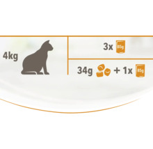 Recomandare de hrănire pentru pisici cu o greutate de 4 kilograme: de 3 ori 85 de grame de hrană umedă sau 34 de grame de hrană uscată plus o dată 85 de grame de hrană umedă.