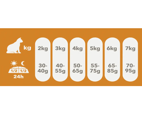 Recomandare de hrănire pentru pisici în funcție de greutate și necesarul zilnic