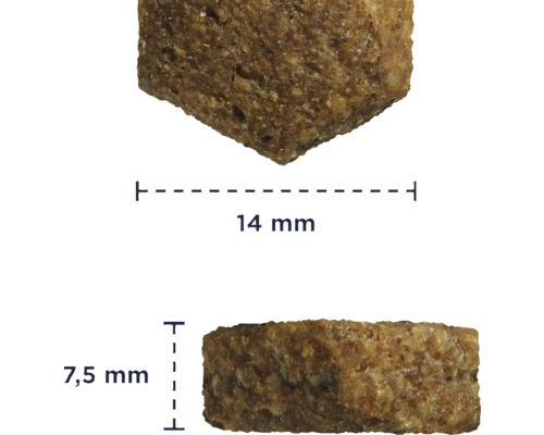 Prim-plan cu o singură bucată de hrană uscată, cu dimensiunile de 14 mm și 7,5 mm.