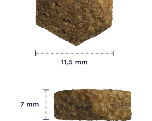 Prim-plan al unei bucăți de hrană uscată, cu dimensiunile de 11,5 mm pe 7 mm.