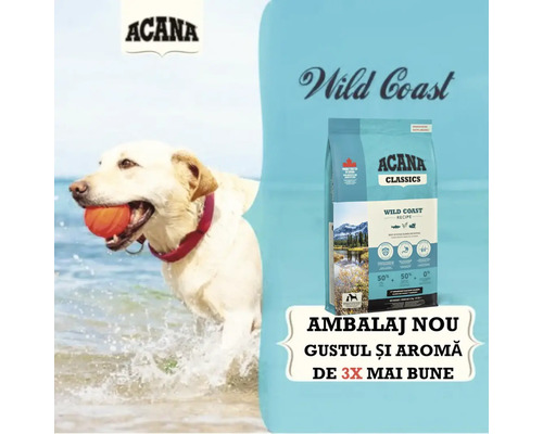 Un câine cu o minge lângă un pachet de hrană uscată pentru câini Acana Wild Coast.