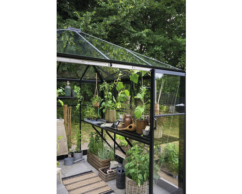 Seră cu plante și rafturi pentru grădină