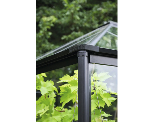 Detaliu seră cu sticlă și cadru metalic