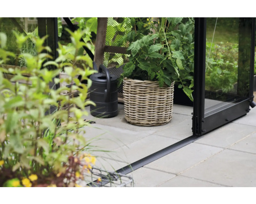 Scenă cu seră, stropitoare și plante într-un coș.