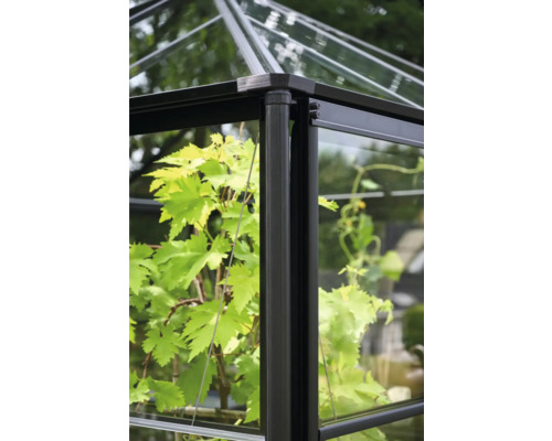 Vedere detaliată a unei sere cu elemente de sticlă și cadru metalic