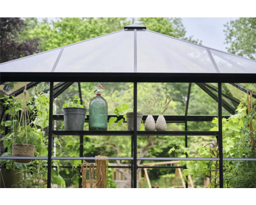 Seră cu rafturi și plante