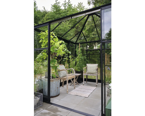 Seră cu plante, scaune și covor