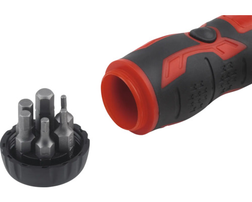 Şurubelniță cu set de biți