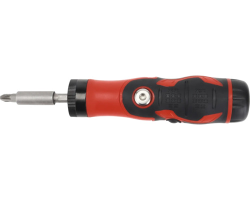 Șurubelniță cu biți și funcție de clichet