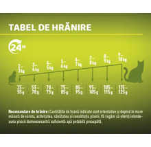 Tabel de hrănire pentru mâncare de pisici cu recomandări de hrănire în funcție de greutatea pisicii