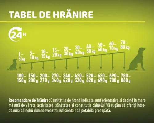 Tabel de hrănire pentru câini în funcție de greutate
