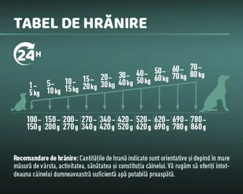Tabel de hrănire pentru câini cu specificații de greutate