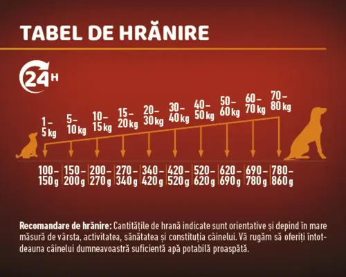 Tabel de hrănire pentru câini cu informații despre greutate
