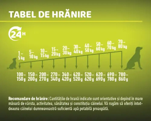 Tabel de hrănire pentru câini cu indicații de greutate