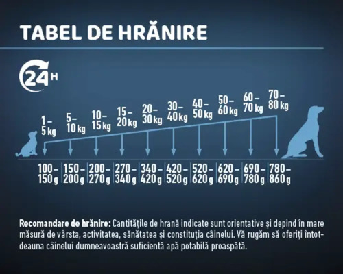 Tabel de hrănire pentru câini cu informații despre rațiile zilnice în grame