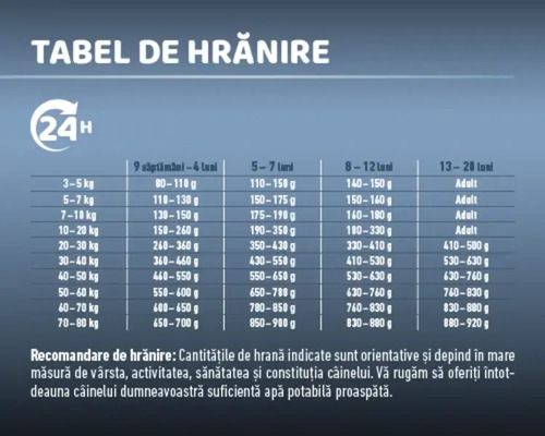 Tabel de hrănire pentru câini