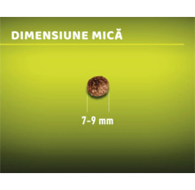 Bucată de hrană cu o dimensiune de 7 - 9 milimetri