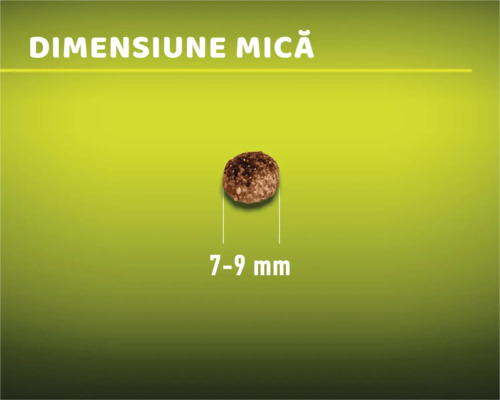 Bucată de hrană cu o dimensiune de 7 - 9 milimetri