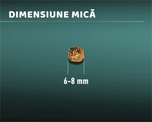 Peletă mică de hrană pentru câini cu o dimensiune de 6 până la 8 milimetri