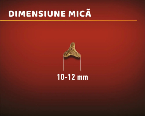 Hrană pentru câini cu o dimensiune de 10-12 milimetri