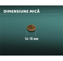 Bucată mică de hrană pentru câini cu o dimensiune de 16 până la 18 milimetri