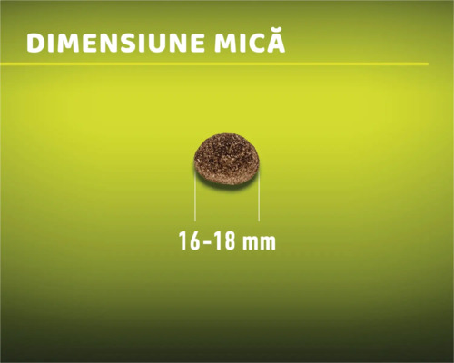 Dimensiune hrană uscată 16-18 mm