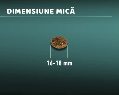 Dimensiune mică a crochetei cu un diametru de 16 până la 18 milimetri