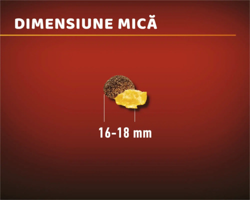 Bucată de hrană pentru pisici cu o dimensiune de 16-18 milimetri