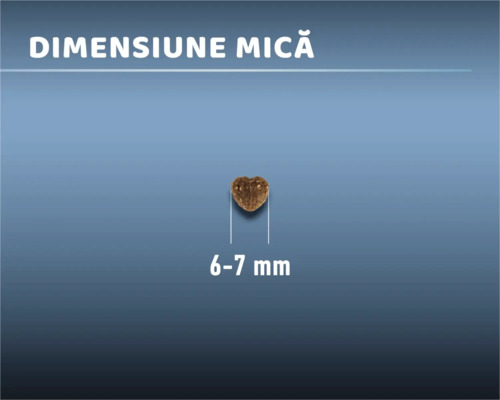 Bucățică de hrană pentru câini, dimensiune mică, 6-7 milimetri