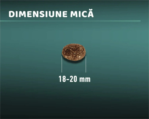 Imagine cu o bucată de hrană uscată cu o dimensiune de 18-20 milimetri
