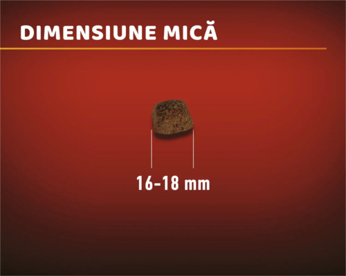 O singură bucată de hrană uscată cu o dimensiune de 16 până la 18 milimetri.