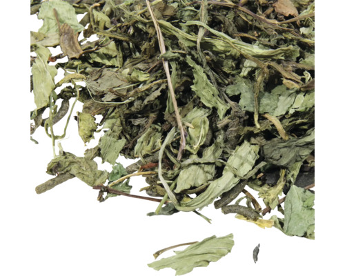 Prim-plan cu ceai de mentă vrac