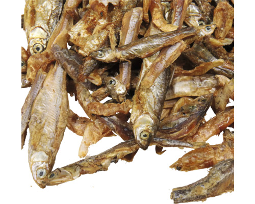 Pești uscați pentru iaz de grădină