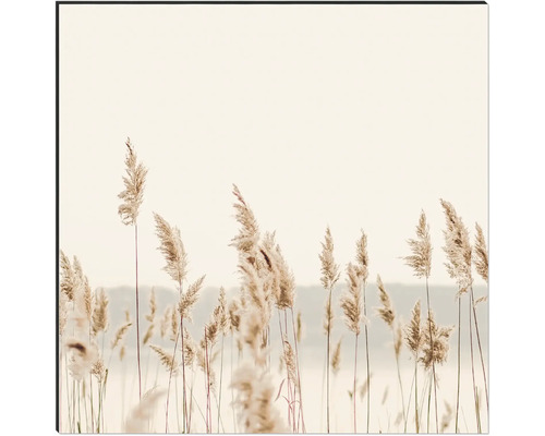 Tablou decorativ de perete cu motiv de stuf pentru spații de locuit