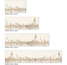 Diverse dimensiuni ale unei picturi murale cu stuf