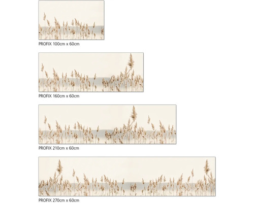 Diverse dimensiuni ale unei picturi murale cu stuf