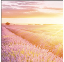 Artă decorativă de perete cu câmp de lavandă la răsărit