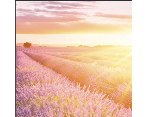 Artă decorativă de perete cu câmp de lavandă la răsărit