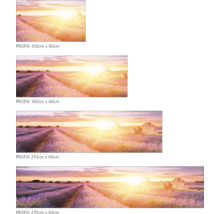 Imagine de perete din mai multe părți cu câmp de lavandă la răsărit în diferite dimensiuni