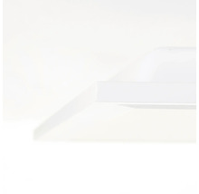 Vizualizare detaliată a unei polițe albe