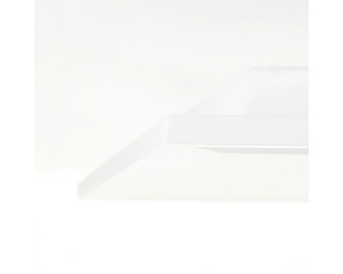 Vizualizare detaliată a unei polițe albe