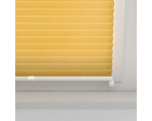 Pliseu galben la fereastră